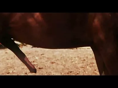 ట్రినిటీ సెయింట్ క్లైర్ తన కింకీ స్టెప్ పిల్లలతో సరదాగా గడుపుతోంది